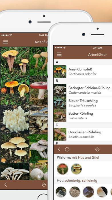 Mushrooms PRO App-Screenshot #2