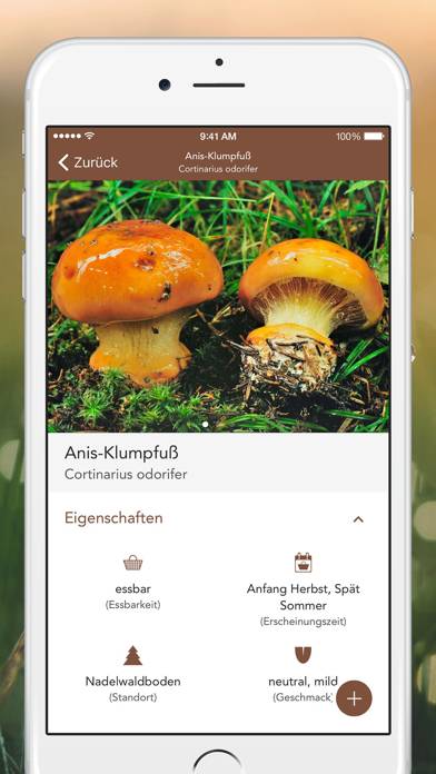 Mushrooms PRO App-Screenshot #3