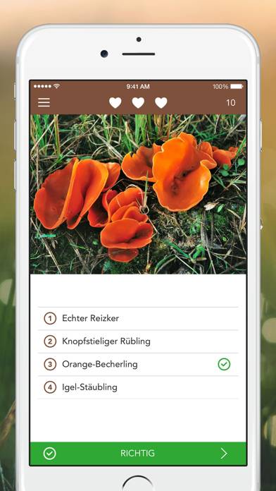 Mushrooms PRO App-Screenshot #4