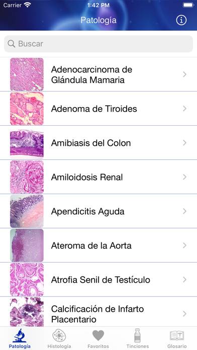 Patología Clínica Captura de pantalla de la aplicación #1