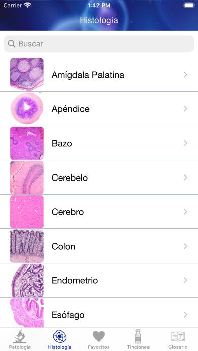 Patología Clínica Schermata dell'app #4