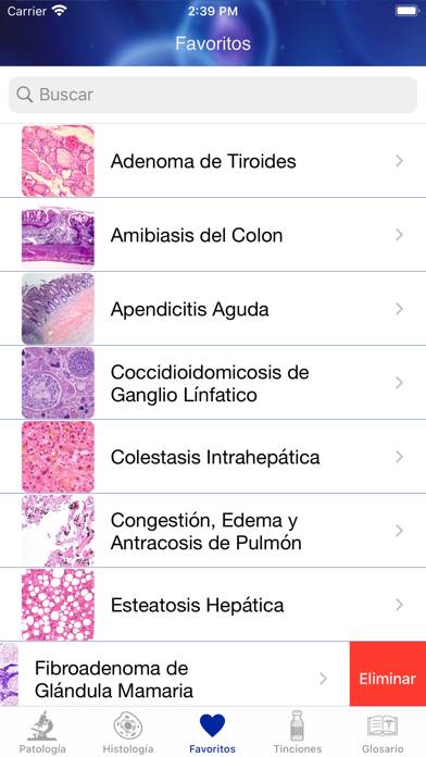 Patología Clínica Schermata dell'app #6