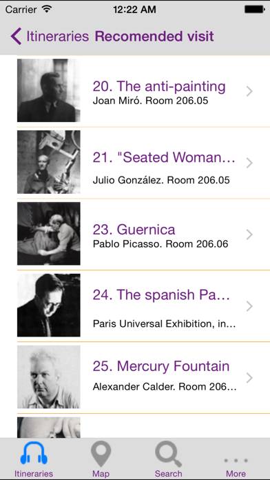 Reina Sofia Museum App-Screenshot #5