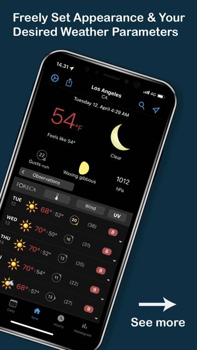 Foreca Weather & Radar Captura de pantalla de la aplicación #2