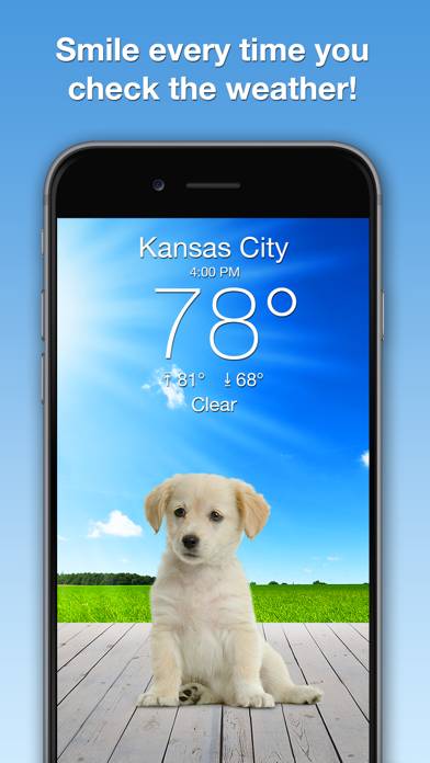 Weather Puppy Forecast plus Radar App screenshot #1