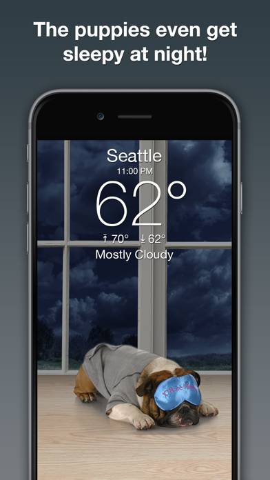 Weather Puppy Forecast plus Radar App screenshot #4
