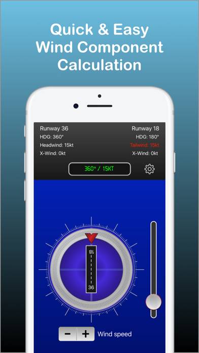 Flight Winds Captura de pantalla de la aplicación #1