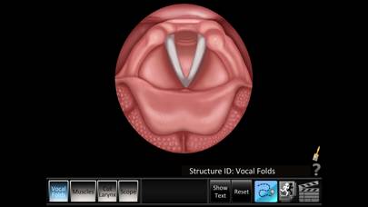 Vocal Folds ID App skärmdump #1