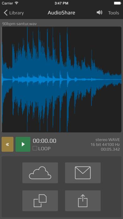 AudioShare App skärmdump #2