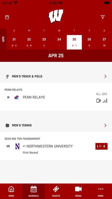 Wisconsin Badgers screenshot #2