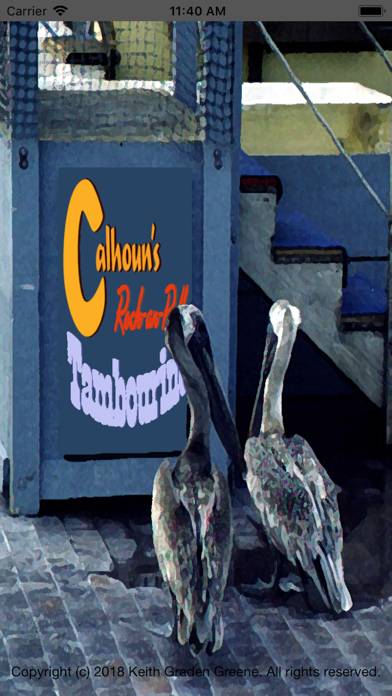 Calhoun's Cajun Rock-an-Roll captura de pantalla