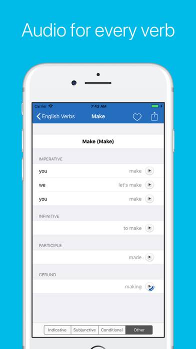 English Verb Conjugator Pro Captura de pantalla de la aplicación #4