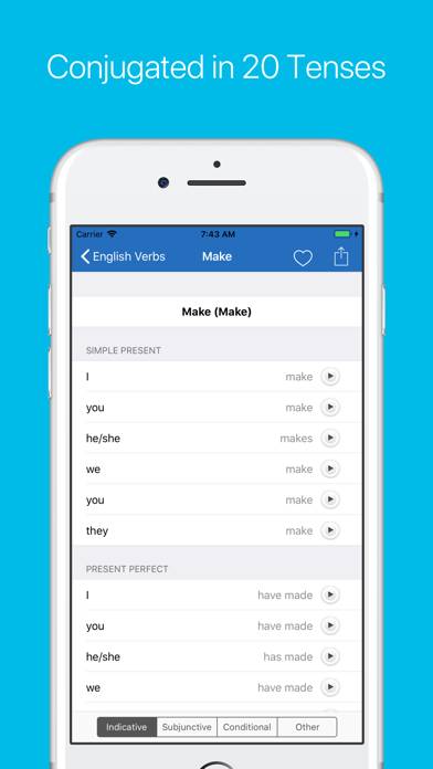 English Verb Conjugator Pro Captura de pantalla de la aplicación #5