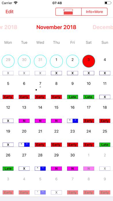 Dienstplan-Kalender Pro Bildschirmfoto