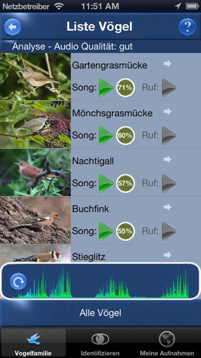 Vogelstimmen Id App screenshot #1