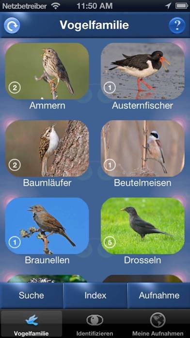 Vogelstimmen Id App screenshot #4