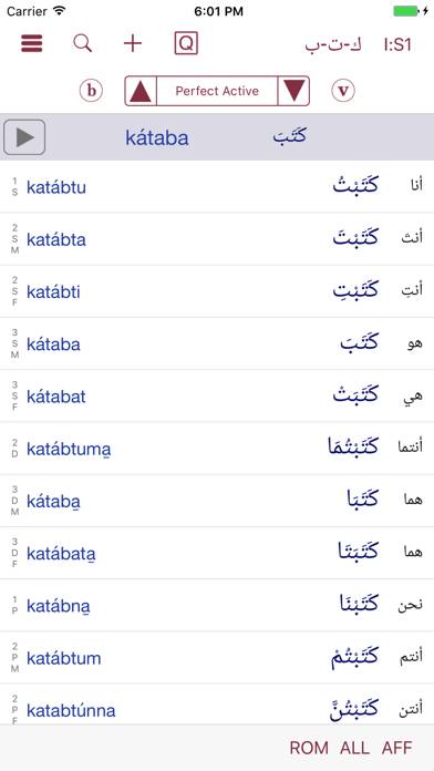 CAVE Arabic Verb Conjugator screenshot