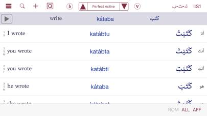 CAVE Arabic Verb Conjugator screenshot