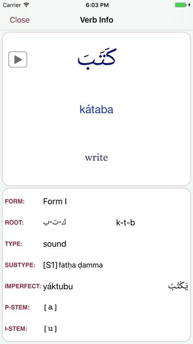 CAVE Arabic Verb Conjugator Schermata dell'app