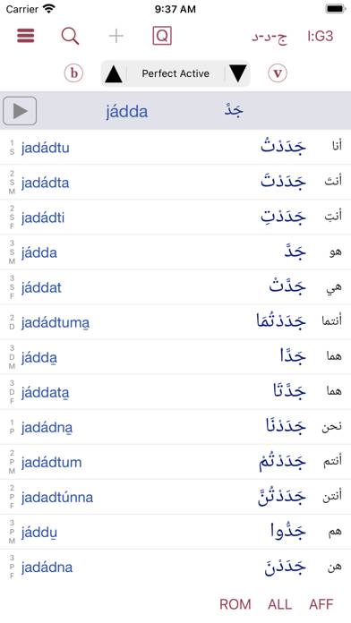 CAVE Arabic Verb Conjugator Schermata dell'app