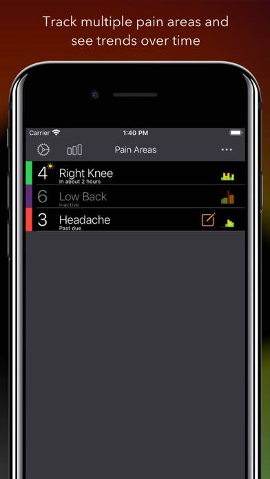 Pain Logger