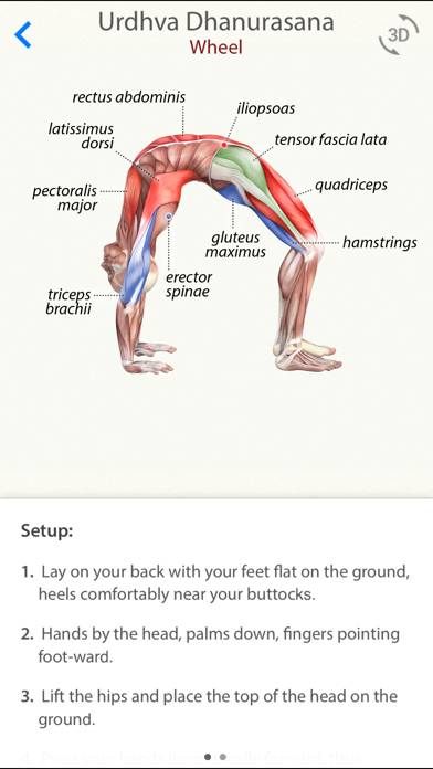 3D Yoga Anatomy App screenshot #1