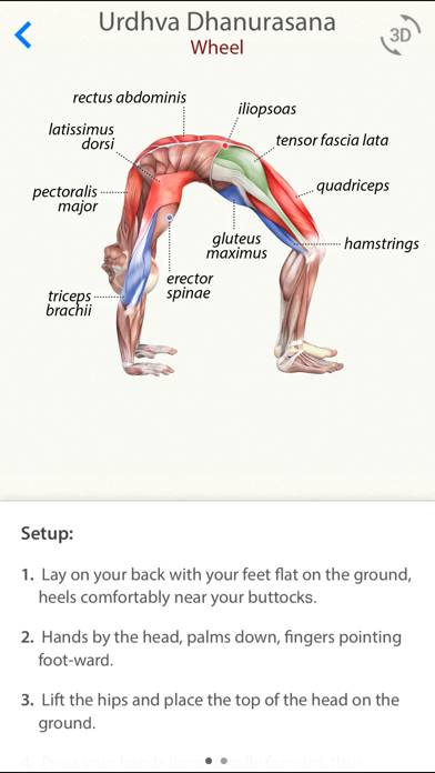 3D Yoga Anatomy