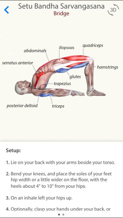 3D Yoga Anatomy App screenshot #2