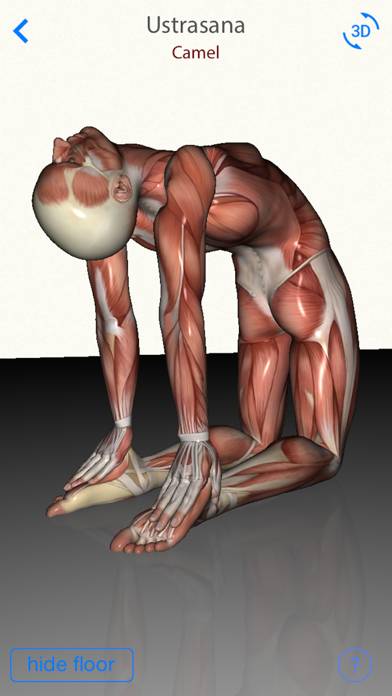 3D Yoga Anatomy App screenshot #3