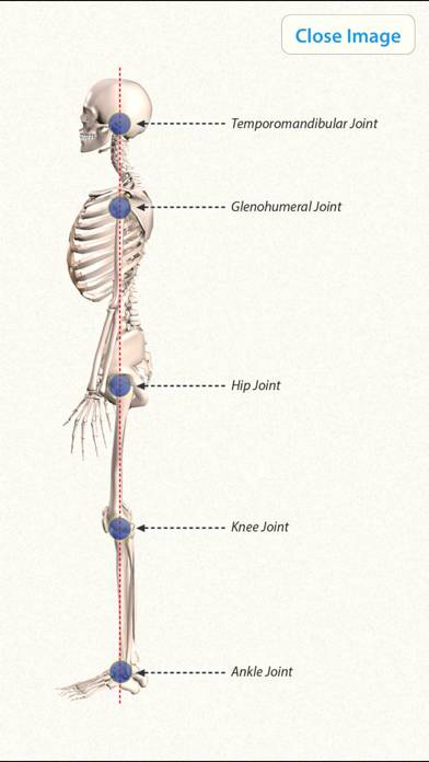 3D Yoga Anatomy App screenshot #5