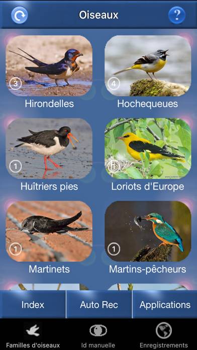 Chants d’oiseaux automatique Capture d'écran de l'application