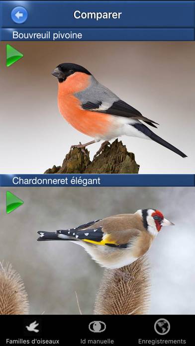 Chants d’oiseaux automatique Capture d'écran de l'application #4