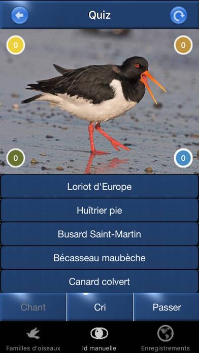 Chants d’oiseaux automatique Capture d'écran de l'application #5