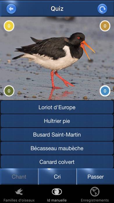 Chants d’oiseaux automatique Capture d'écran de l'application