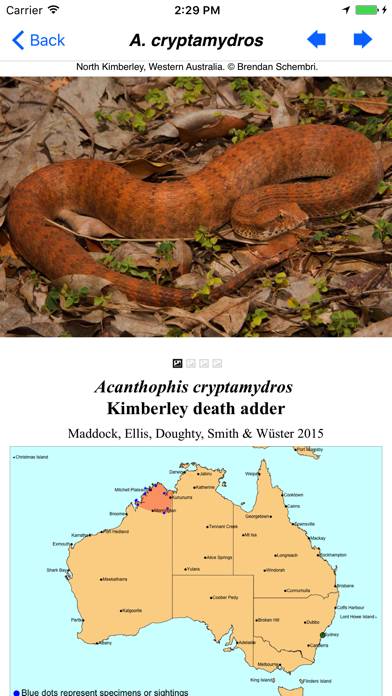 Snakes of Australia App screenshot