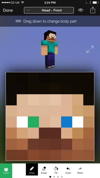 Minecraft: Skin Studio App screenshot #2