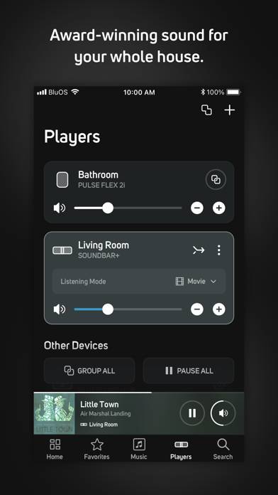 BluOS Controller App skärmdump #4