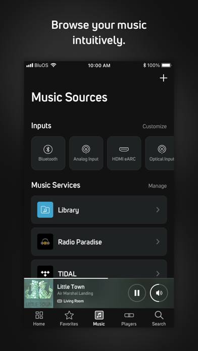 BluOS Controller App skärmdump #5