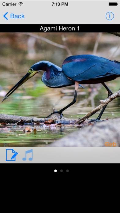 Costa Rica Birds Captura de pantalla de la aplicación #1