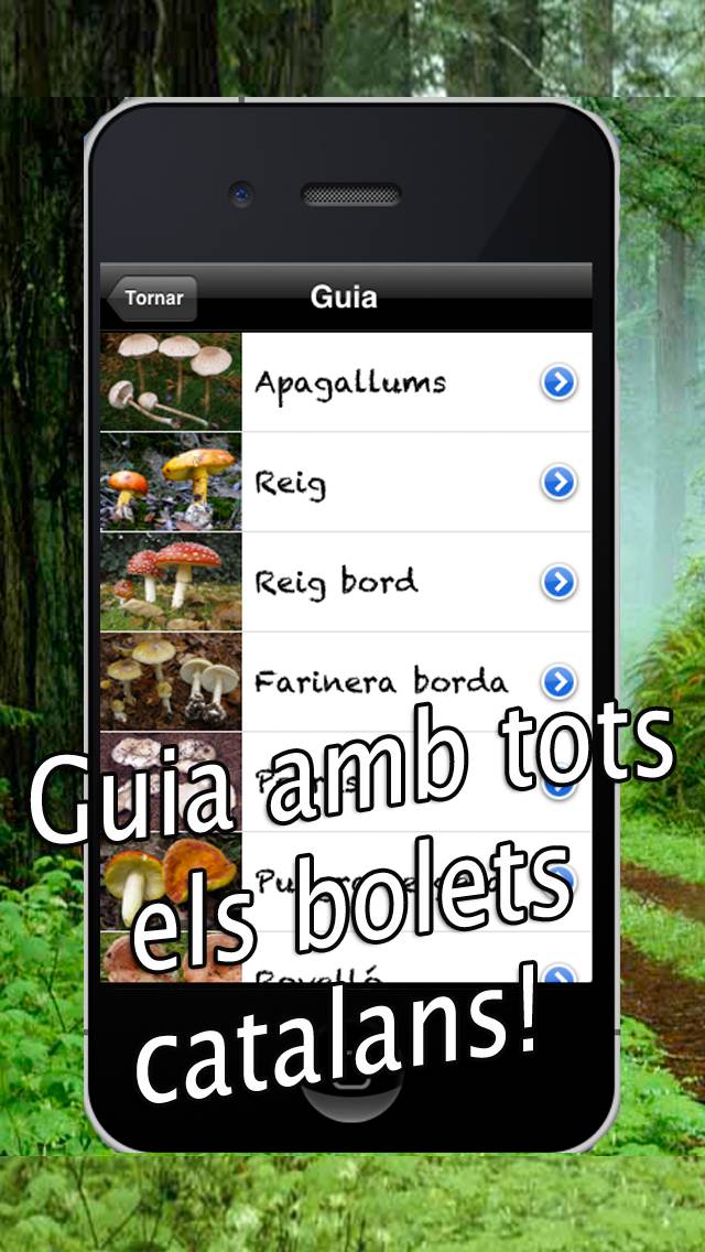 Caçador de bolets captura de pantalla #1