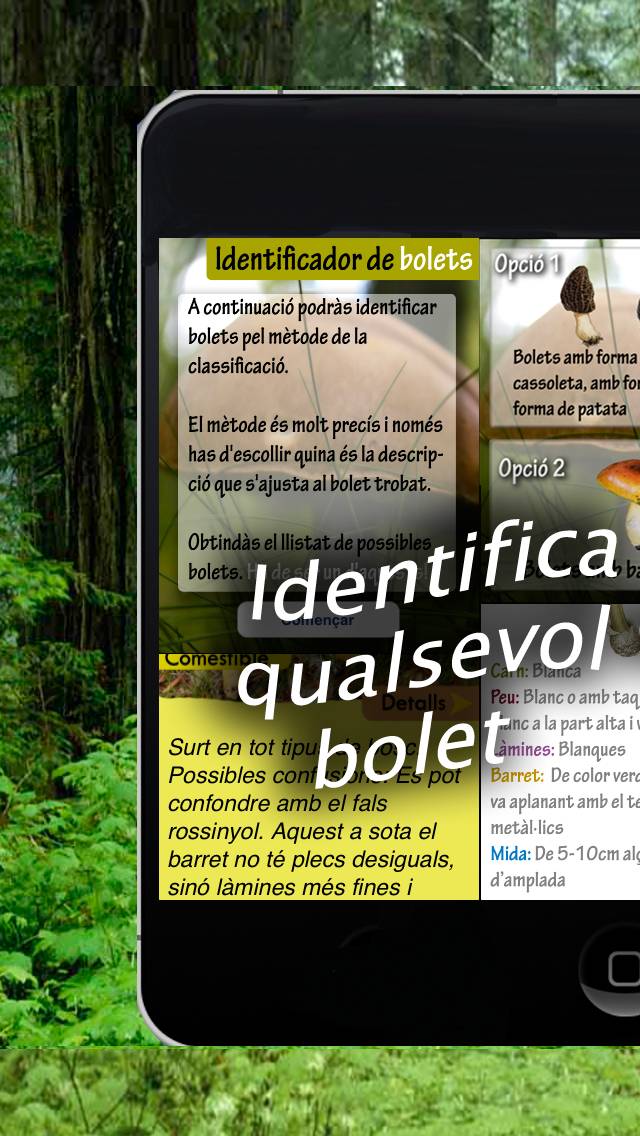 Caçador de bolets captura de pantalla #3