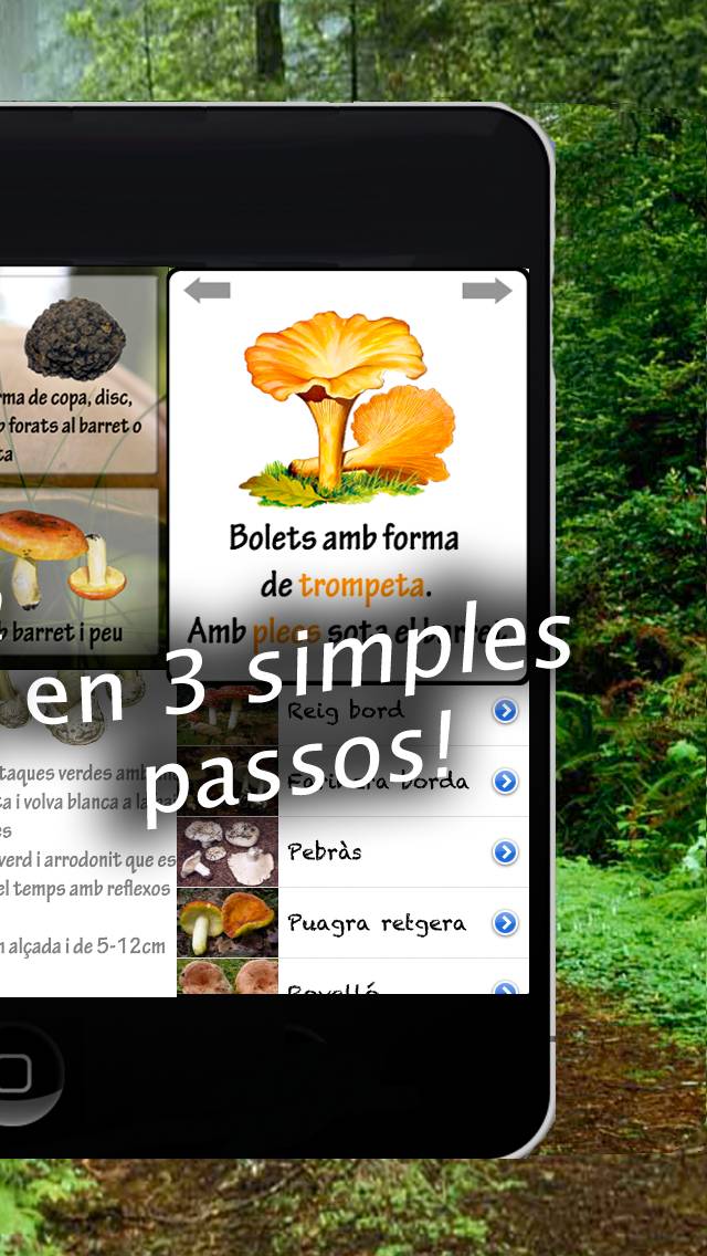 Caçador de bolets captura de pantalla #4