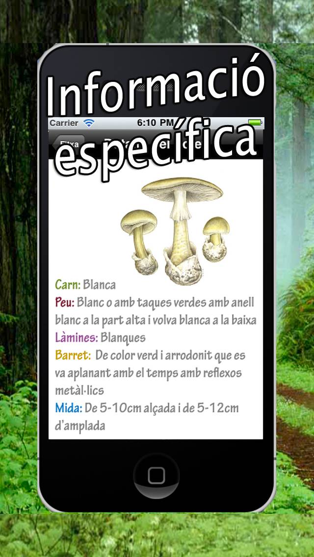 Caçador de bolets Captura de pantalla de la aplicación