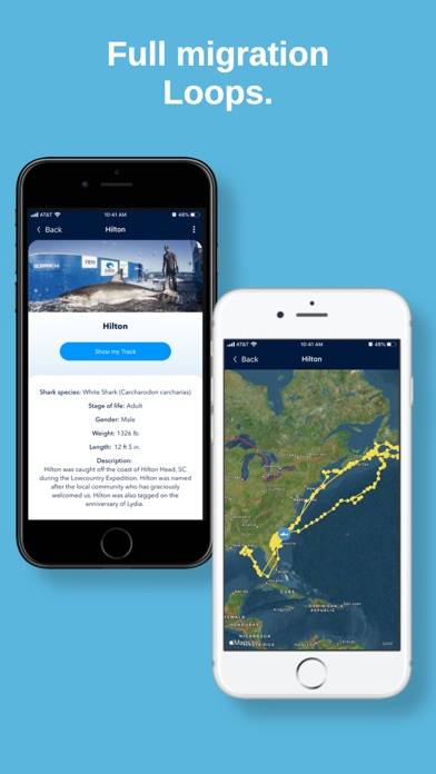 OCEARCH Shark Tracker App skärmdump #4