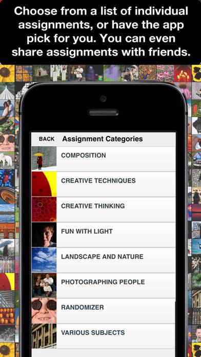 Learn Photo365 iPhotography Assignment Generator Schermata dell'app #2
