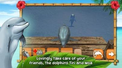 Dolphins of the Caribbean App screenshot #4