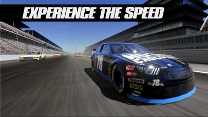 Stock Car Racing game screenshot