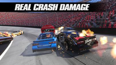 Stock Car Racing game screenshot