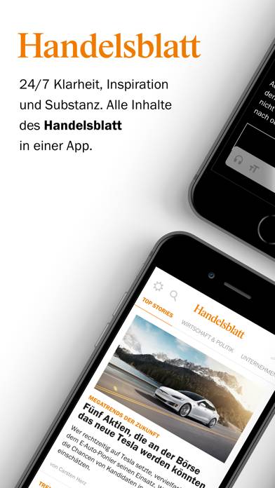 Handelsblatt App-Screenshot #1