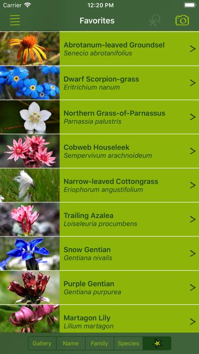 AlpineFlower Finder – Europe App screenshot #3